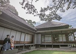 日本家屋とお庭